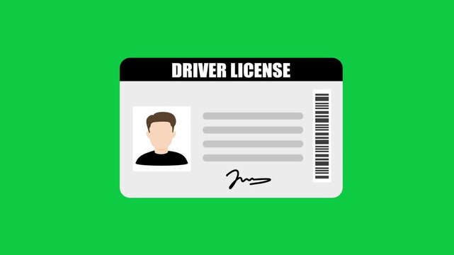 Driver license with male photo. Identification or ID card template amimation