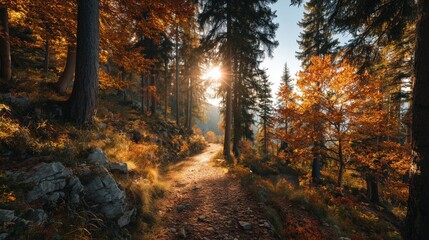 A beautiful, peaceful dirt hiking trail winding through a dense forest filled with vibrant golden and orange autumn leaves, illuminated by warm sunbeams breaking through the tall trees