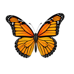 Fototapeta premium A vibrant monarch butterfly with intricate patterns, wings spread, on black