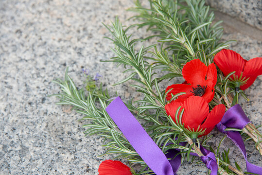 Closeup rosemary spring tied with purple ribbons on granite with red poppy flowers, a solemn ANZAC remembrance tribute honouring fallen veterans