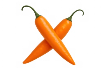 Two vibrant orange chili peppers crossing, representing spicy flavor, global cuisine, and fresh healthy ingredients