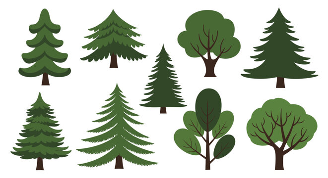 Various green tree illustrations set on a white background, featuring different shapes and species like conifers and broadleaf trees.