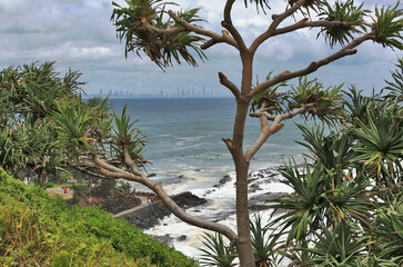 Coolangatta beach, looking through trees at Surfers Paradise, Gold Coast, Queensland, Australia
