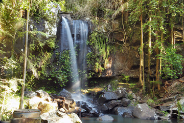Curtis Falls in Mt Tambourine, Gold Coast Hinterland, Queensland, Australia