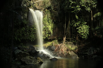 Curtis Falls in Mt Tambourine, Gold Coast Hinterland, Queensland, Australia