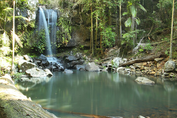 Curtis Falls in Mt Tambourine, Gold Coast Hinterland, Queensland, Australia