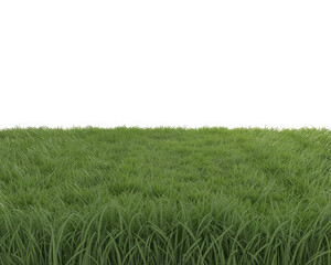Obraz premium Green Grass Field