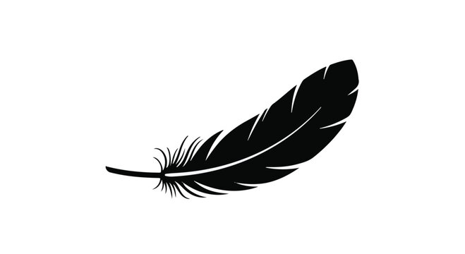 Delicate black feather gently floating against a clean white background, symbolizing lightness and freedom.