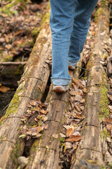 滑りやすい丸太の橋を渡る