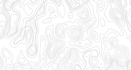 White topography topology vector white background, seamless cartography ware frame area contour topo grid map. 
