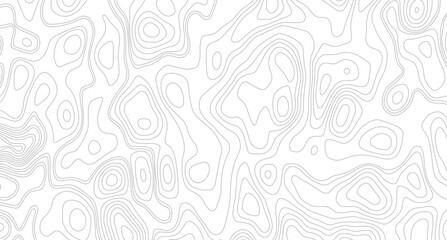 White topography topology vector white background, seamless cartography ware frame area contour topo grid map. 
