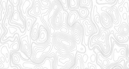 White topography topology vector white background, seamless cartography ware frame area contour topo grid map. 
