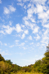 Obraz premium 広々とした秋の空と白い雲