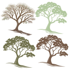 Four stylized trees in brown and green vector art nature
