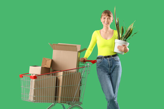 Young woman with houseplant and shopping cart full of cardboard boxes on green background