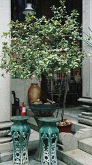 A lush potted tree adorned with tiny red lanterns stands in a serene corner of the Penang Peranakan Mansion, surrounded by traditional pottery and decorative stools.