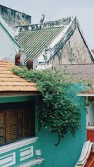 Street photography taken in Penang Malaysia with creeper plants on the roof