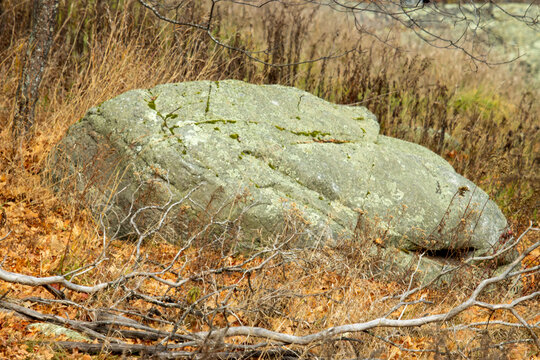 A large boulder on a grassy hillside in autumn