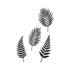 Botanical Symphony: Five artfully arranged silhouettes of delicate leaves create a harmonious pattern of organic elegance. The simplicity speaks volumes.