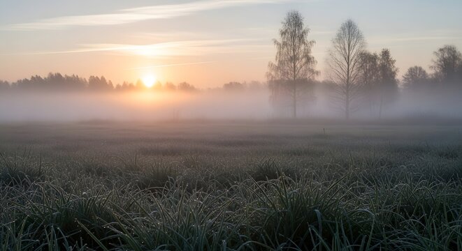 Sunrise over a misty field, with trees in the distance and a soft, ethereal glow.