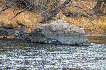 A rocky outcrop in the river