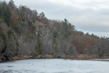 A forested riverbank with rocky bluffs and cliffs on a cloudy autumn day