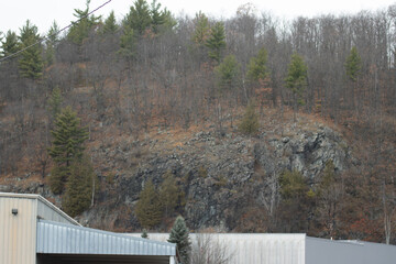 A cliff and wooded hillside behind an industrial building in autumn