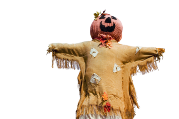 Charming rustic scarecrow with a cheerful carved pumpkin head and tattered burlap body, embellished with colorful autumn leaves, a classic harvest symbol isolated on white