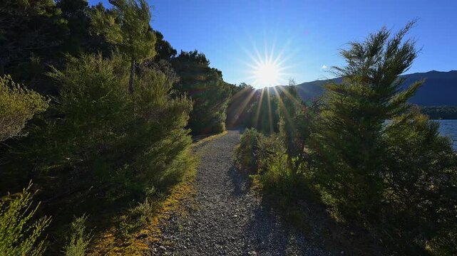 Kiesweg, Wald, Sonnenstrahlen, B&auml;ume, See, Sommer, Lake Rotoiti, Saint Arnaud, Tasman Region, S&uuml;dinsel, Neuseeland, Ozeanien