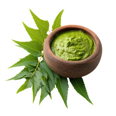 Green paste in bowl with leafy border on dark backdrop