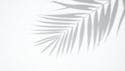 Abstract shadow of palm leaves on white background, tropical plant overlay for creative design, natural light effect, summer concept