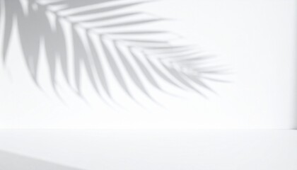 Abstract white background with palm leaf shadow, minimalist summer aesthetic for product display or backdrop