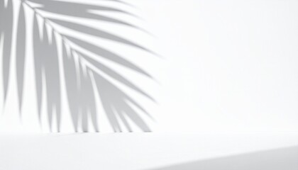 Palm leaf shadow on white background, tropical plant silhouette, minimalist summer aesthetic, natural light effect, empty space for product display