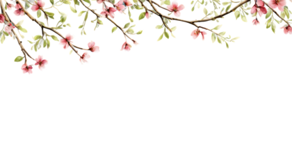 Sycamore platanus trees foliage texture, realistic tree branch flower photo overlays, isolated cutout leaves, ultra-detailed 8K botanical elements, crisp natural lighting, commercial stock overlay