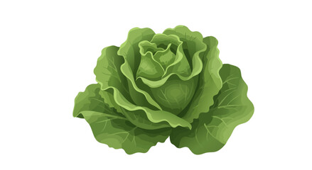 Fototapeta premium Digital illustration of a leafy, vibrant green cabbage head against a plain white background
