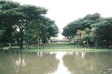 lake in the park
