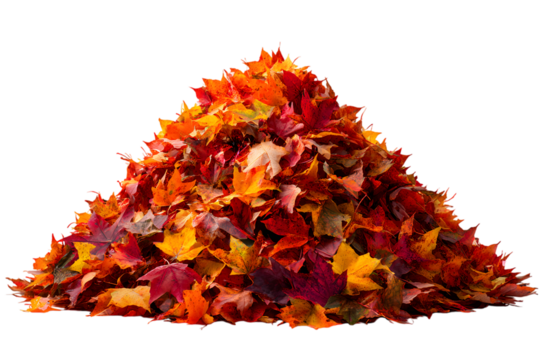 A pile of colorful autumn leaves isolated on transparent background