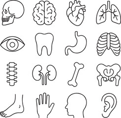 Vector monochrome line icon set about anatomy
