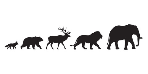 Silhouettes of different animals on white