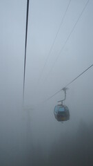 snow covered road in the park, cable car, First, Switzerland
