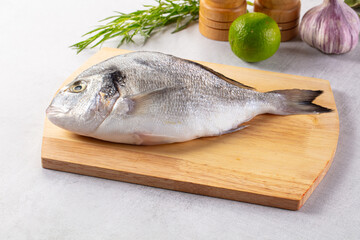Raw fresh uncooked dorada fish