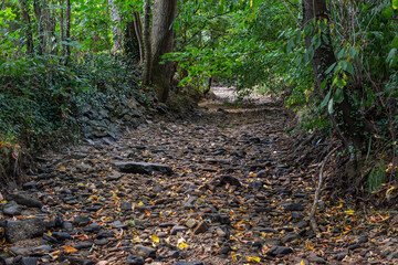 Dry stream in a hot summer