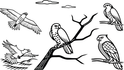 Stunning collection of raptors in detailed line art, soaring eagles and perched hawks evoke freedom and power, great for nature or wildlife designs