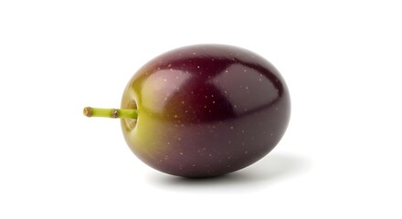 Single Ripe Olive with Stem on White Background.