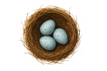 Bird's nest holding three speckled blue eggs, representing new life, spring, nature, and growth on a transparent background