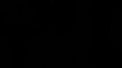 Abstract snow transition mixing particle motion and frosty blur for artistic visuals. - Powered by Adobe