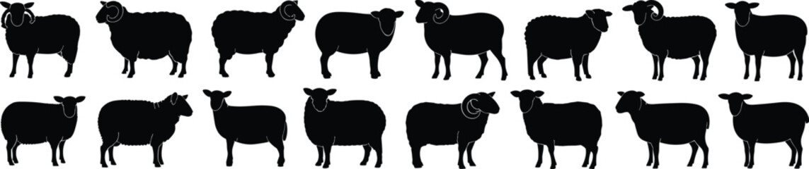 Silhouette sheep pattern, horned and hornless livestock, black blue outline, animal icon row, farm animal graphic, minimal style, visual counting concept
