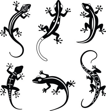 Detailed collection of lizards, beautifully designed for reptile lovers and nature enthusiasts, perfect for branding, tattoos, and unique designs