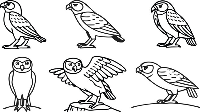 Detailed owl outlines for educational materials and nature illustrations, perfect for wildlife projects and creating fun, engaging content for children