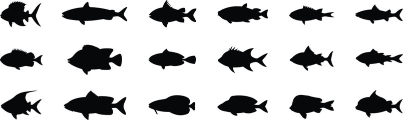 Fototapeta premium Silhouettes of diverse fish species, black aquatic shapes, marine animal icons, isolated underwater creatures, graphic fish collection, taxonomy reference, biology study, editable vector